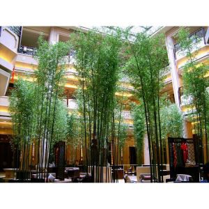 Bambusul artificial din Grove